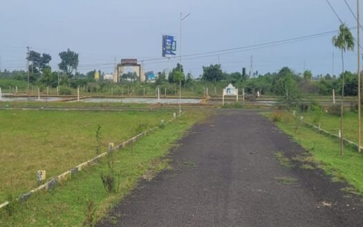 1050 Sq Ft Residential Land in Thiruporur 21076 3