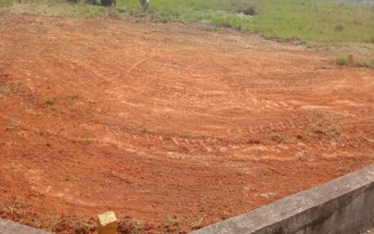 2038 Sq Ft Residential Land in Thirumazhisai 21050 5